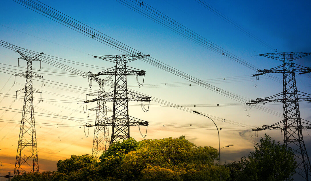 Tackling the South African Grid Crisis with Public-Private Partnerships